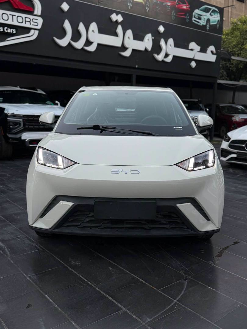 BYD Seagull 2025