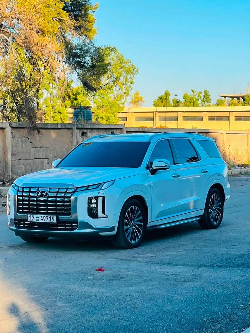 Hyundai Palisade 2024