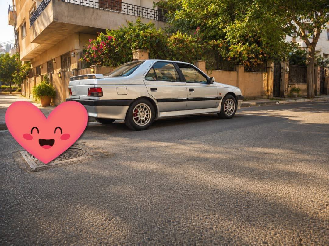 Peugeot 405 2005