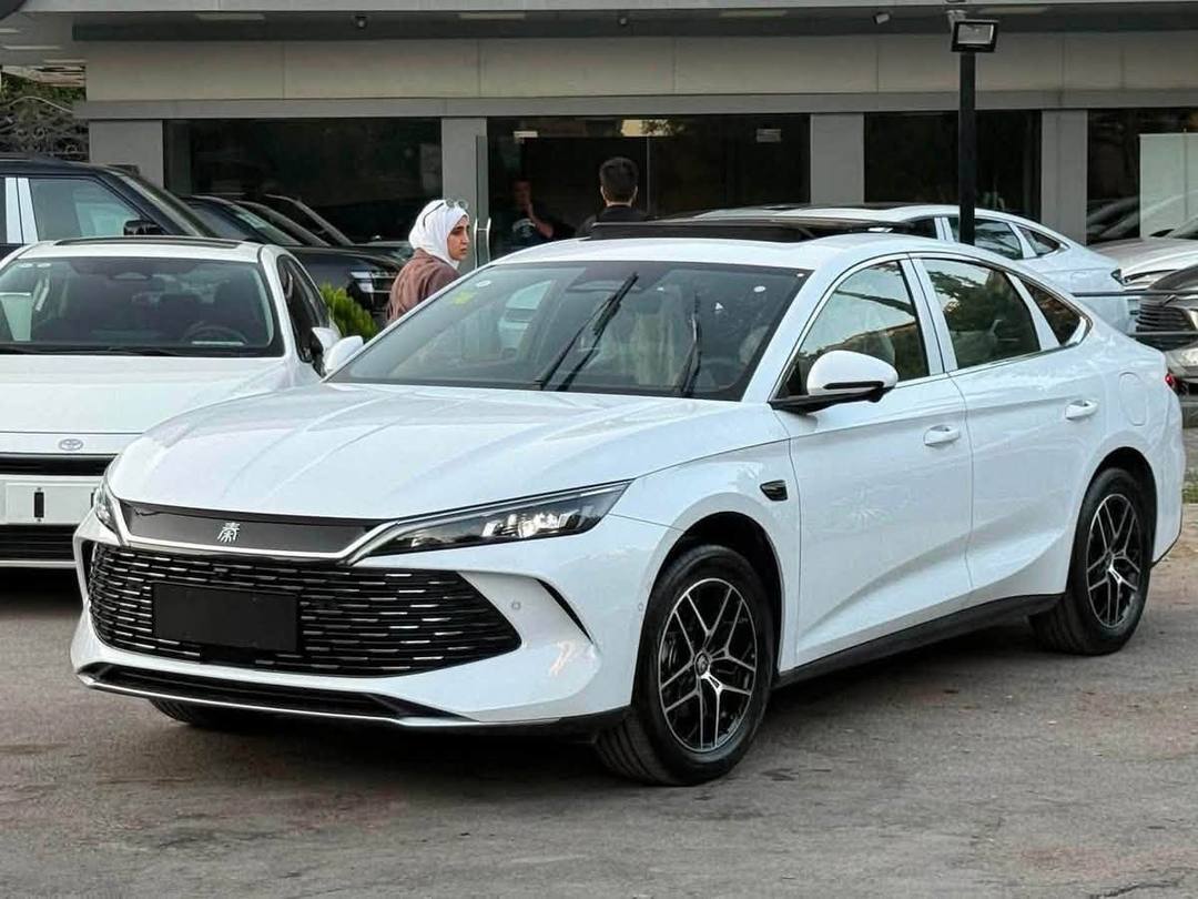 BYD Qin L 2026